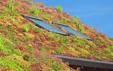 Balnagask living roof systems